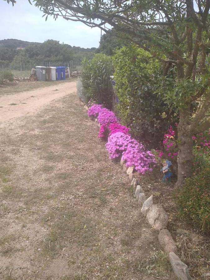 B&B Li Salcuneddi Aglientu Luaran gambar